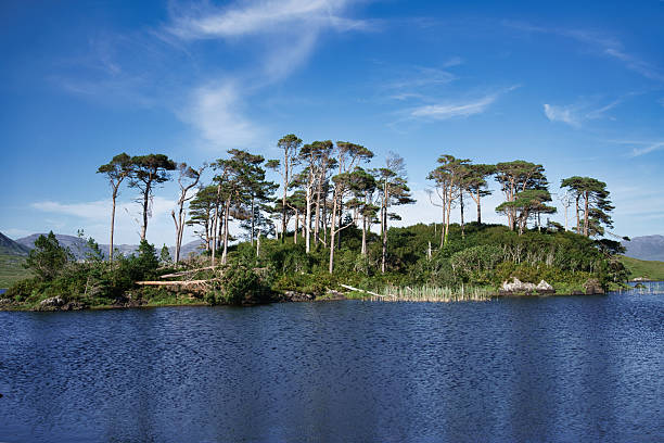 istock Island Scene in Connemara, Ireland 2227498471