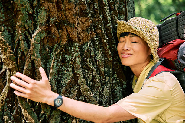 istock Smiling Japanese Woman Hugging Tree on Camping Trip 2227498859