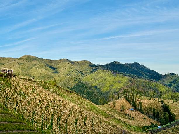 istock Soft yellow-green hills with mountain silhouettes on blue sky backdrop 2227500481