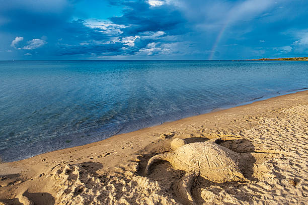 Evening atmosphere on Boltenhagen Beach on the Baltic Sea in Mecklenburg-Western Pomerania