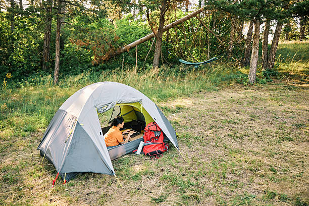 istock Japanese freelancer working in a tent on a camping trip. 2227505288