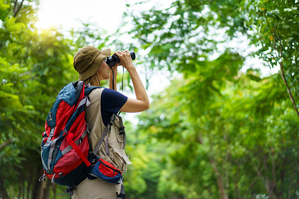 istock Woman using binoculars to observe birds in wild nature. Birdwatching activity. 2227505788