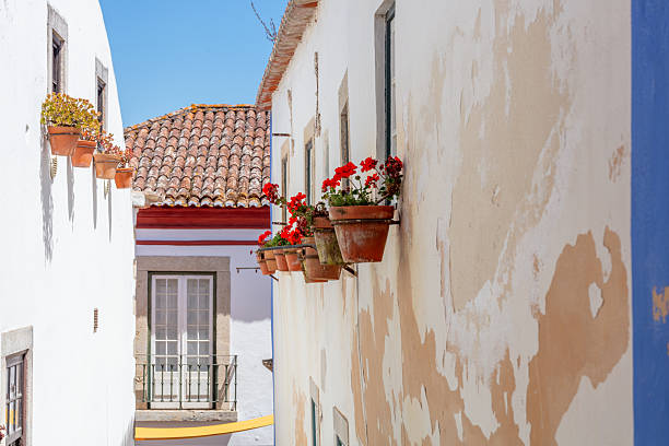 Flower pots on rustic wall in narrow alley of Obidos.