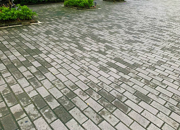 istock wide pavement way with green plants 2227510388