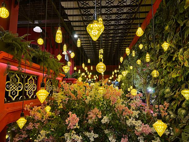 Pictures from Ho Chi Mihn to Mekong and Hoi An