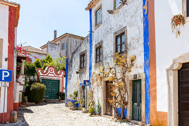 istock Flower Pots on Rustic Wall in Obidos Alley 2227516012