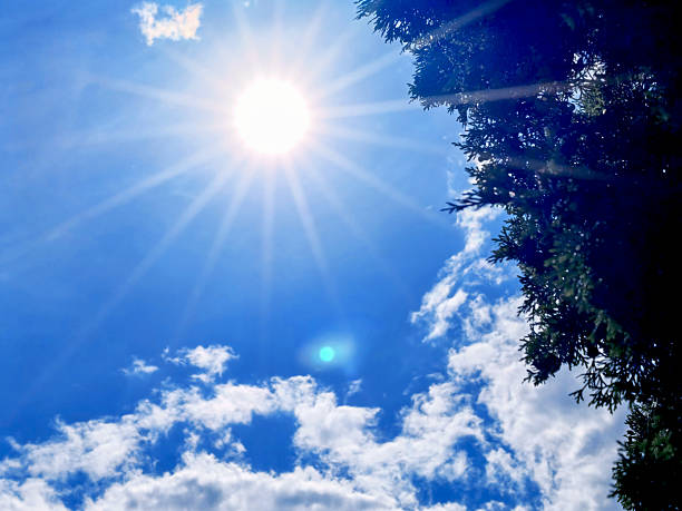 A vibrant sun with beautiful beams illuminates a bright blue sky filled with fluffy white clouds. Lush green foliage on the right adds a natural touch, creating a peaceful outdoor atmosphere.