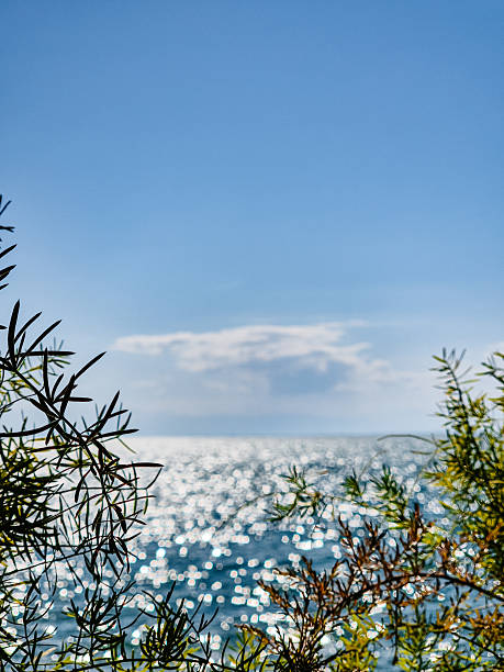 Glittering Aegean sea horizon in Greece.