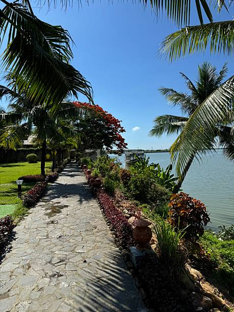 istock Trip to Vietnam 2227519497