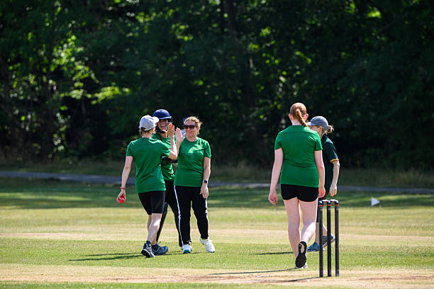 istock Fielding cricket team high five catching the batter out 2227520392