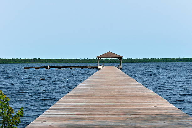 istock Pier Extending into Singletary Lake 2227521915