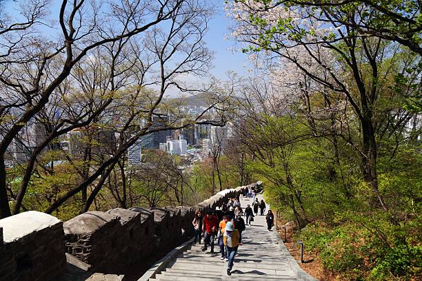 People visit Namsan Park in Seoul during cherry blossom season.