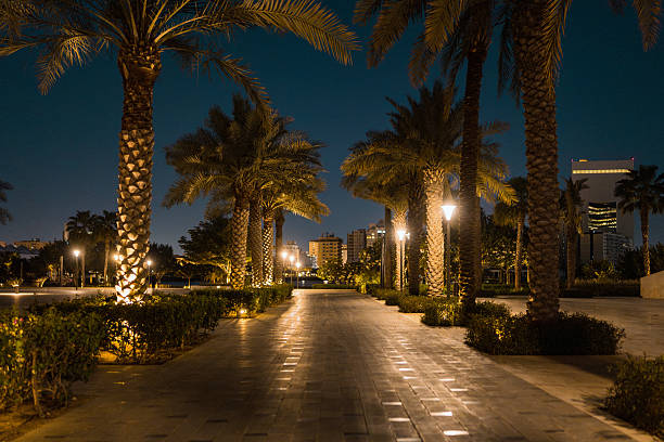 Panoramic view of elegant palm-lined pathway with uplighting illuminating trees against dark sky. Modern urban architecture and landscape design create peaceful evening atmosphere in Saudi Arabia.