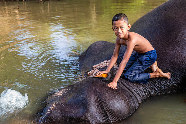 istock Children bathing an elephant in a river 2227525676