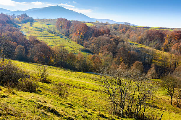 istock rural landscape in autumn 2227530213