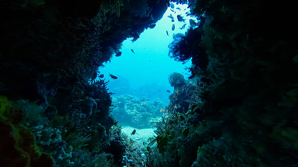 istock Underwater view of a cave. Underwater cave. 2227532569
