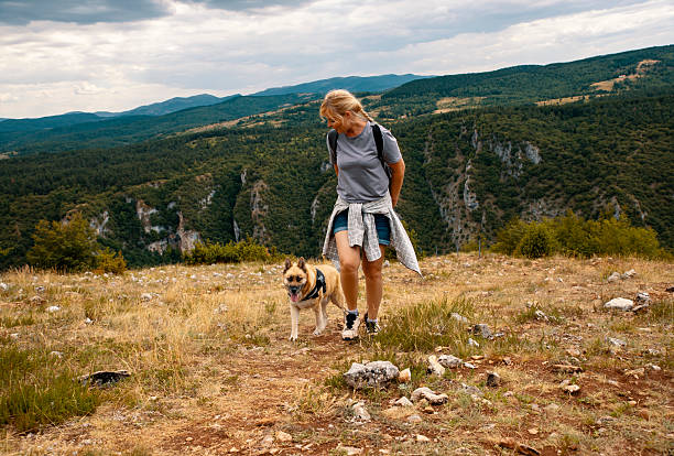 Woman with a dog hiking in beautiful mountains on Spring/Summer day. Copy space