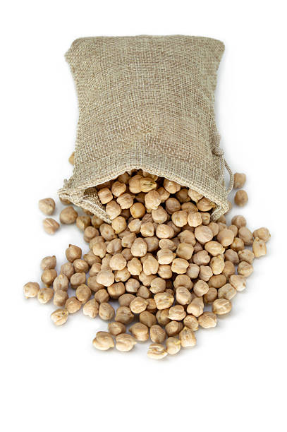 Cut out of a cute fallen beige light brown burlap sack gunny bag full of spilling falling chickpeas white kabuli chane or chana or overflowing spilled chhole chole isolated over white background - table top view