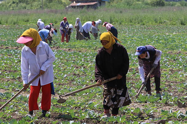 People treat a field of weeds in the Almaty region of Kazakhstan. June 8, 2016