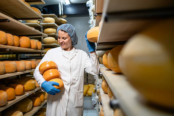 istock Production and storage of quality handmade cheese. 2227536044