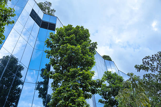 istock Green life and business concept, Net Zero, Carbon Neutral. 2227536432
