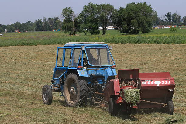 Unidentified Turkish people who is farm worker wearing traditional clothes in steppe with a small tractor in kırşehir turkey. They are harvesting the lentil on field in summer time.
