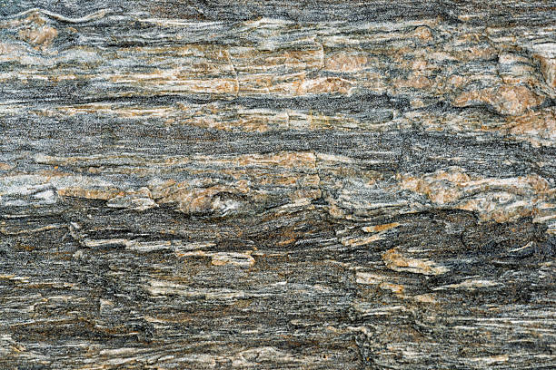 Smooth and rugged stone surface displays unique textures and mineral patterns with shades of gray and light beige, creating a natural artwork.