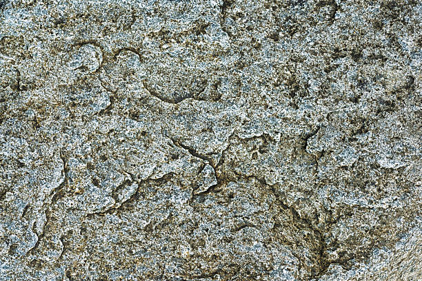 Close-up of a rock surface showcasing unique textures, patterns, and earthy colors, highlighting nature's artistry in a natural environment.