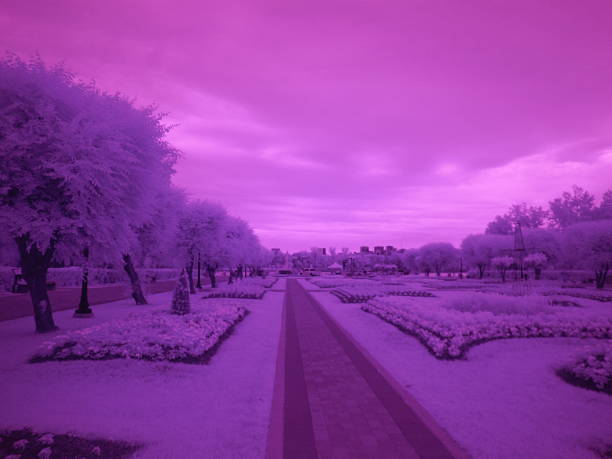 I have an infrared converted camera, and like to take photos now and then with it to be different.