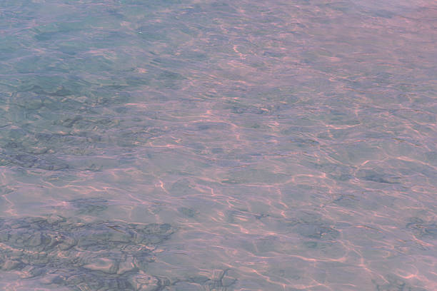 Sand beach and ocean water