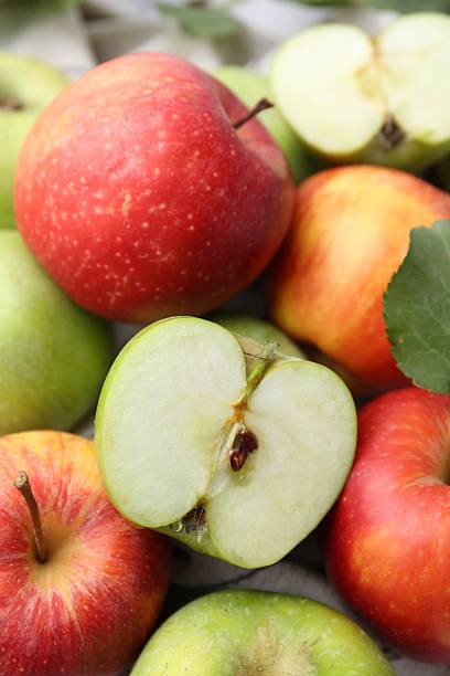 istock Pile of different whole ripe apples, closeup 2227541802