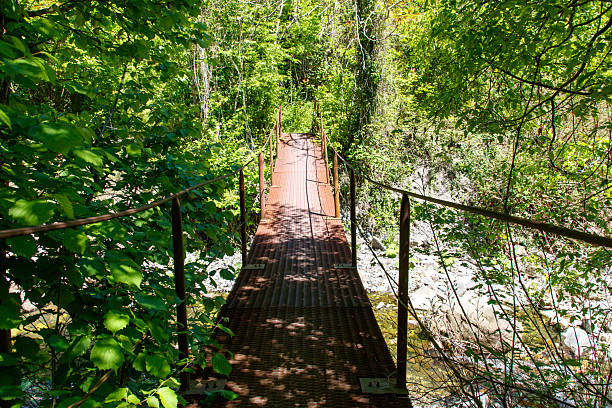 Suspension bridge in Lynn Canyon Park, a beautiful municipal park and travel destination in Vancouver, British Columbia, Canada.