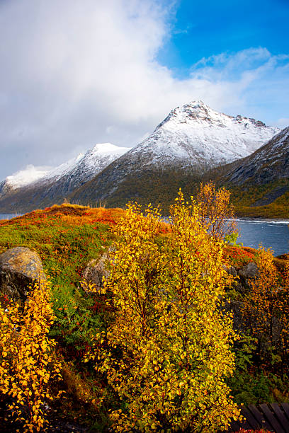 istock Autumn on Husoy Island 2227542881