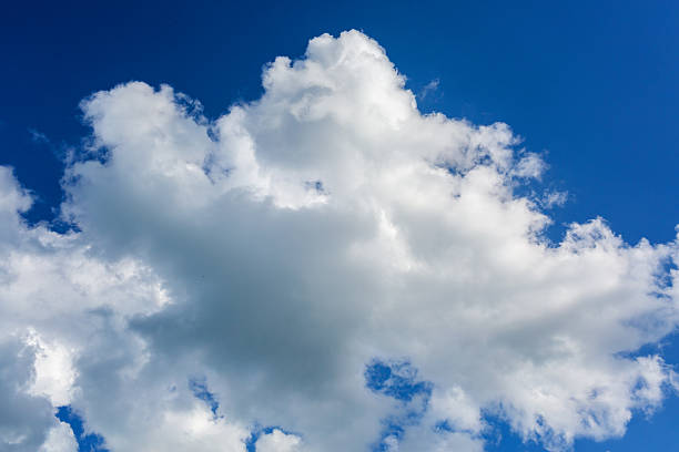 Scattered fluffy clouds float in a vibrant blue sky, providing a tranquil ambiance, perfect for nature-themed designs and backgrounds with copy space