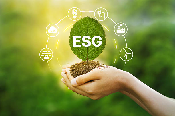 istock Youth hands holding ESG leaf for sustainable future 2227547378