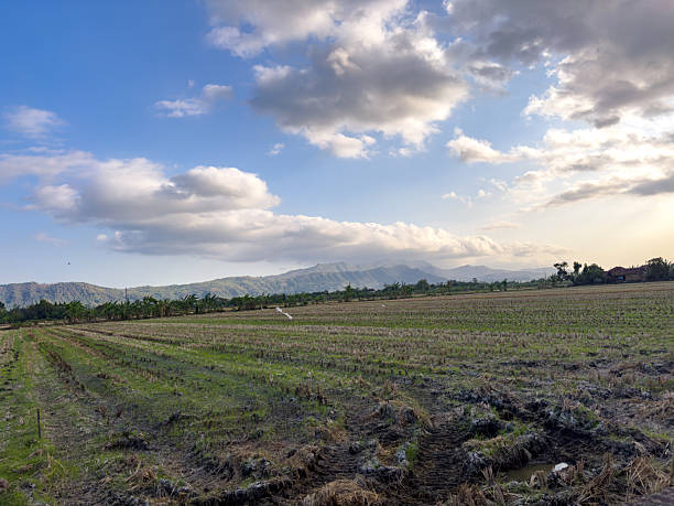 This image depicts a vast agricultural landscape with harvested fields under a wide sky featuring scattered clouds. Mountains are visible in the distance, suggesting a rural and serene setting.