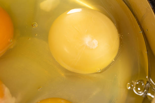 A Close-Up View of Fresh Eggs in a Bowl