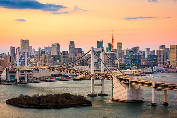 istock Tokyo, Japan skyline panorama with Rainbow Bridg 2227549424