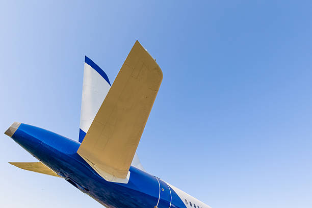 istock Model airplanes in the park 2227556088