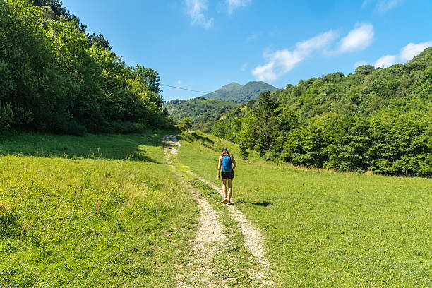istock Exploring scenic trails in basque country landscape 2227556930