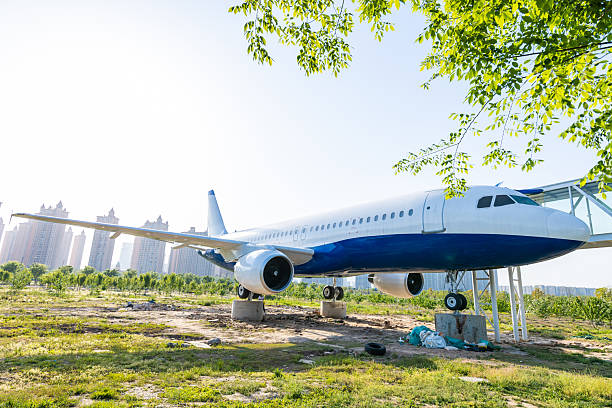 Model airplanes in the park
