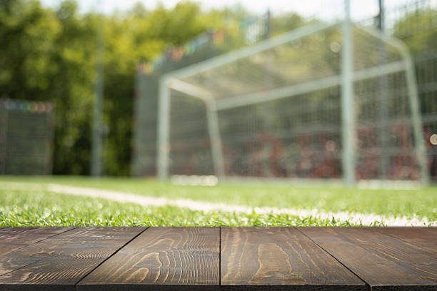 istock Empty soccer goal on field with artificial green grass. Summer outdoor game. 2227558039