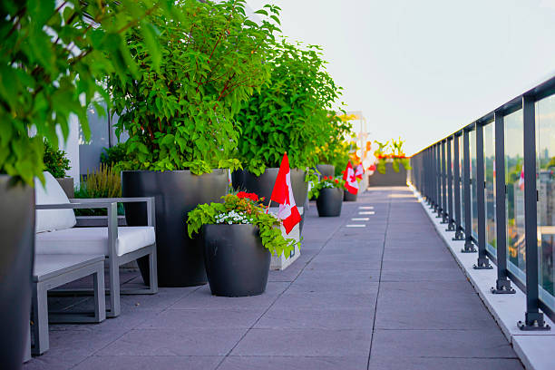 istock roof of building with plants 2227558082