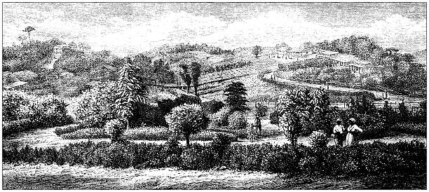 Antique magazine image: Martinique, Plantation