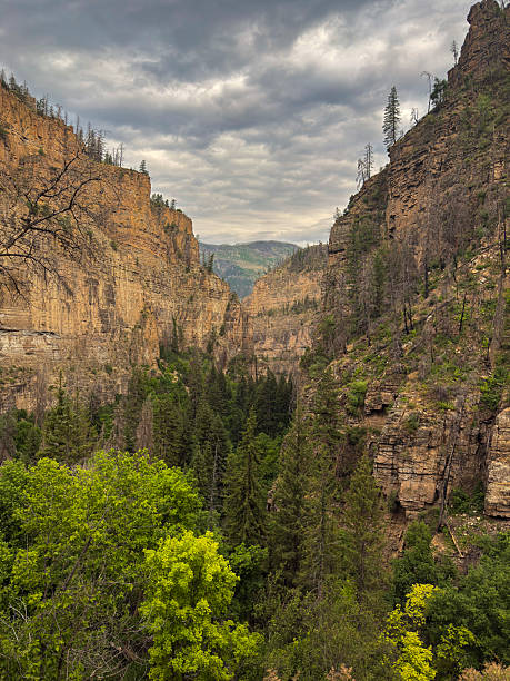 istock Dramatic Canyon View with Dense Forest and Stormy Skies 2227566381