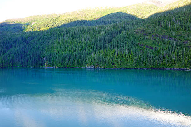 Detail of Alaskan mountains and rugged wilderness with pine forest and ocean water on Inside Passage