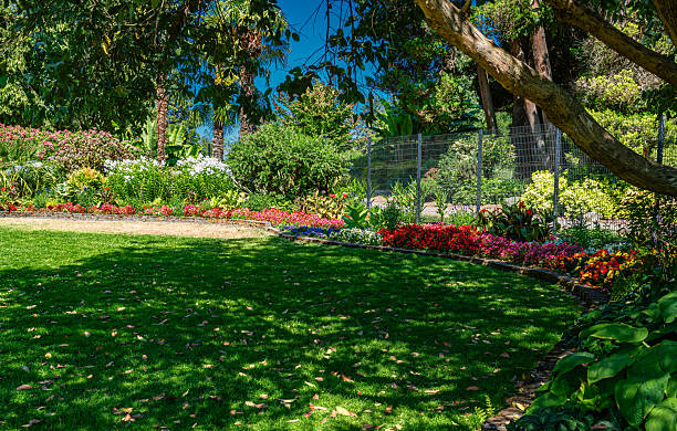 istock Colorful Tacoma Park Garden 2227573061