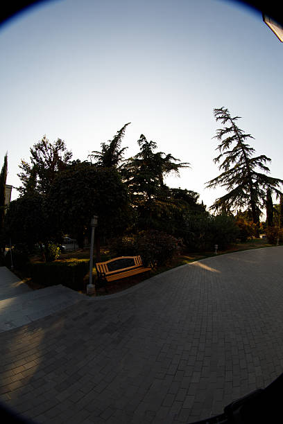 istock Serene Park Pathway Illuminated by Sunset with Lush Greenery, Decorative Bench, and Majestic Trees, Creating a Peaceful Atmosphere for Relaxation and Reflection in a Nature Oasis 2227579289