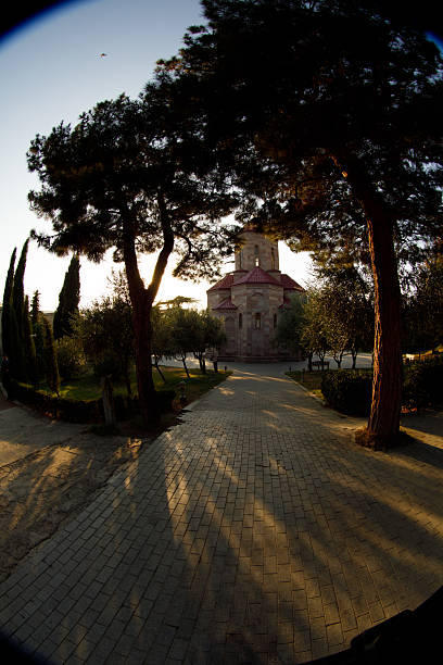 A Serene Pathway Leading to an Ancient Structure Flanked by Tall Trees, Illuminated by Soft Sunset Light, Creating a Peaceful Ambiance Amidst Nature's Beauty