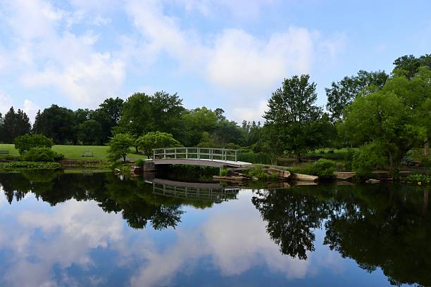 istock Wood Bridge at the Lake 2227580283